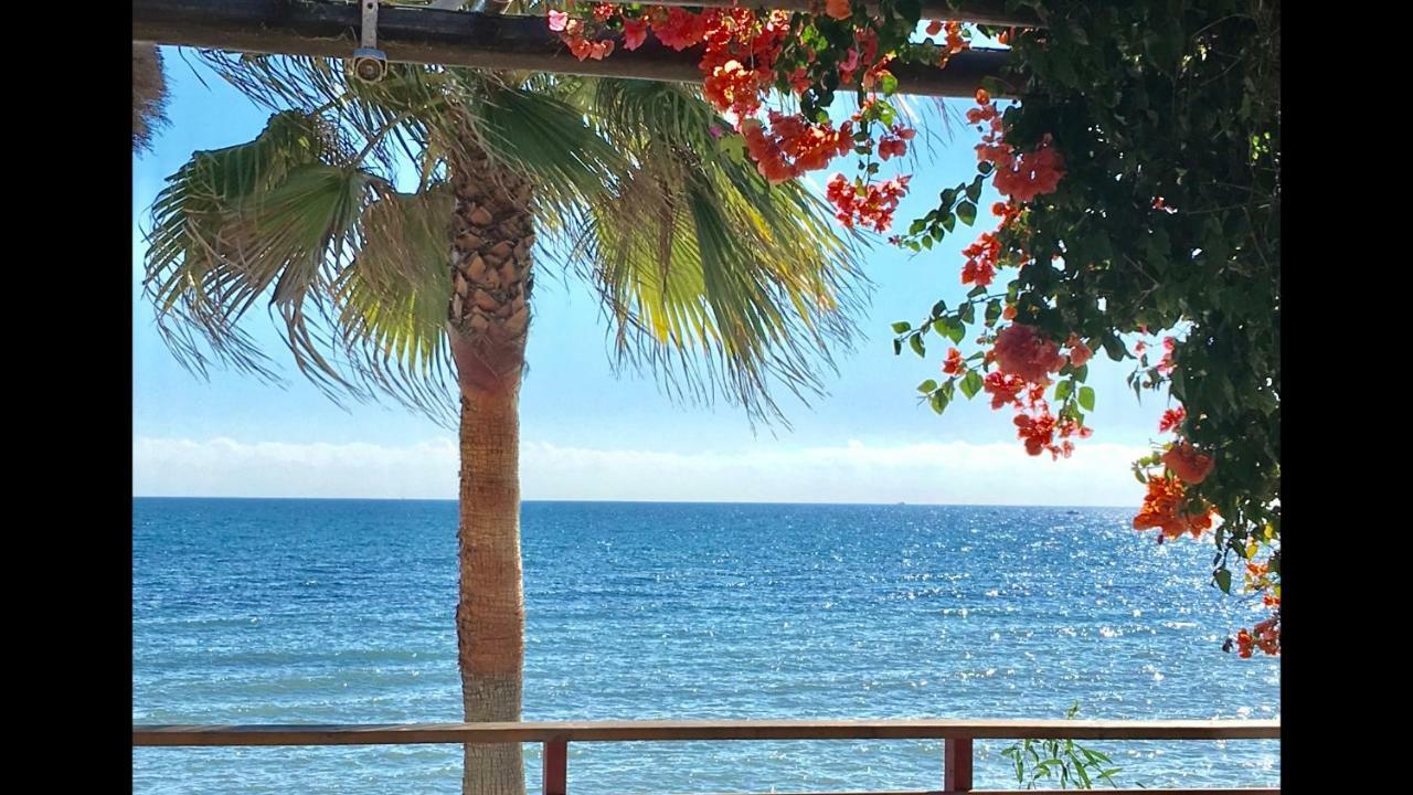 Mi Capricho 2D Beachfront- Apartment With Sea View - Costa Del Sol Sitio de Calahonda Esterno foto